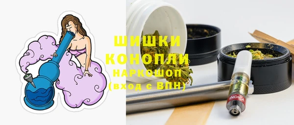 spice Аркадак