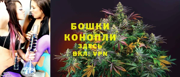 spice Аркадак