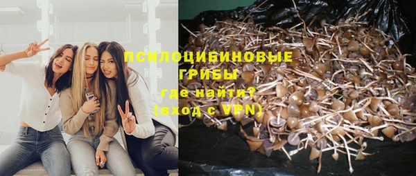 spice Аркадак