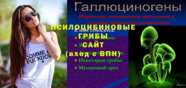 spice Аркадак