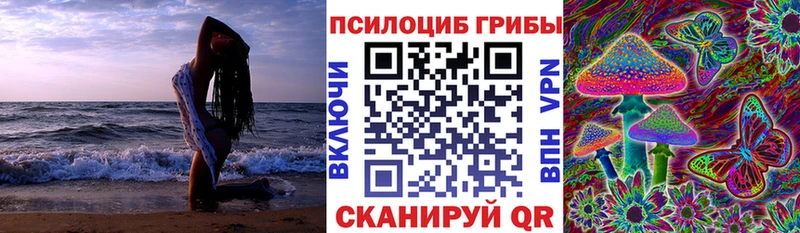 kraken ссылки  купить наркотики сайты  Обоянь  Галлюциногенные грибы прущие грибы 